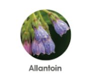 allantoin