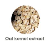 oat-kernel